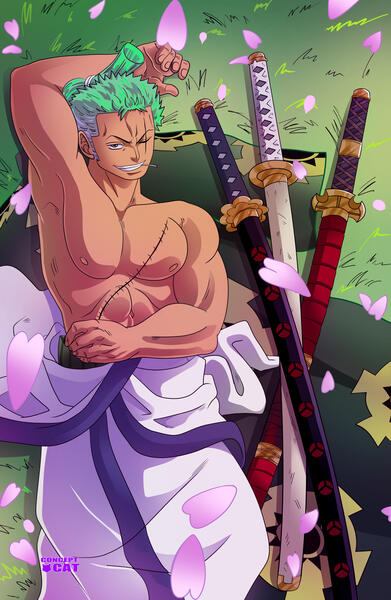 Land of Wano Zoro